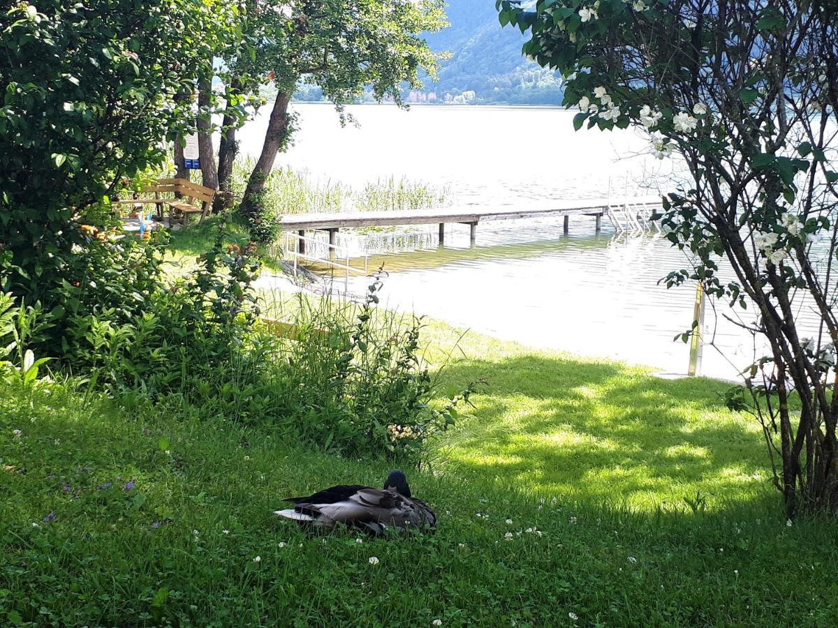 Anna Seeblick Appartement, Haus Haensel&Gretel Am Ossiachersee Mit Direktem Seezugang, Hallenbad 博登斯多夫 外观 照片